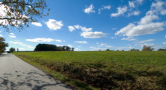 Farm Park - Road